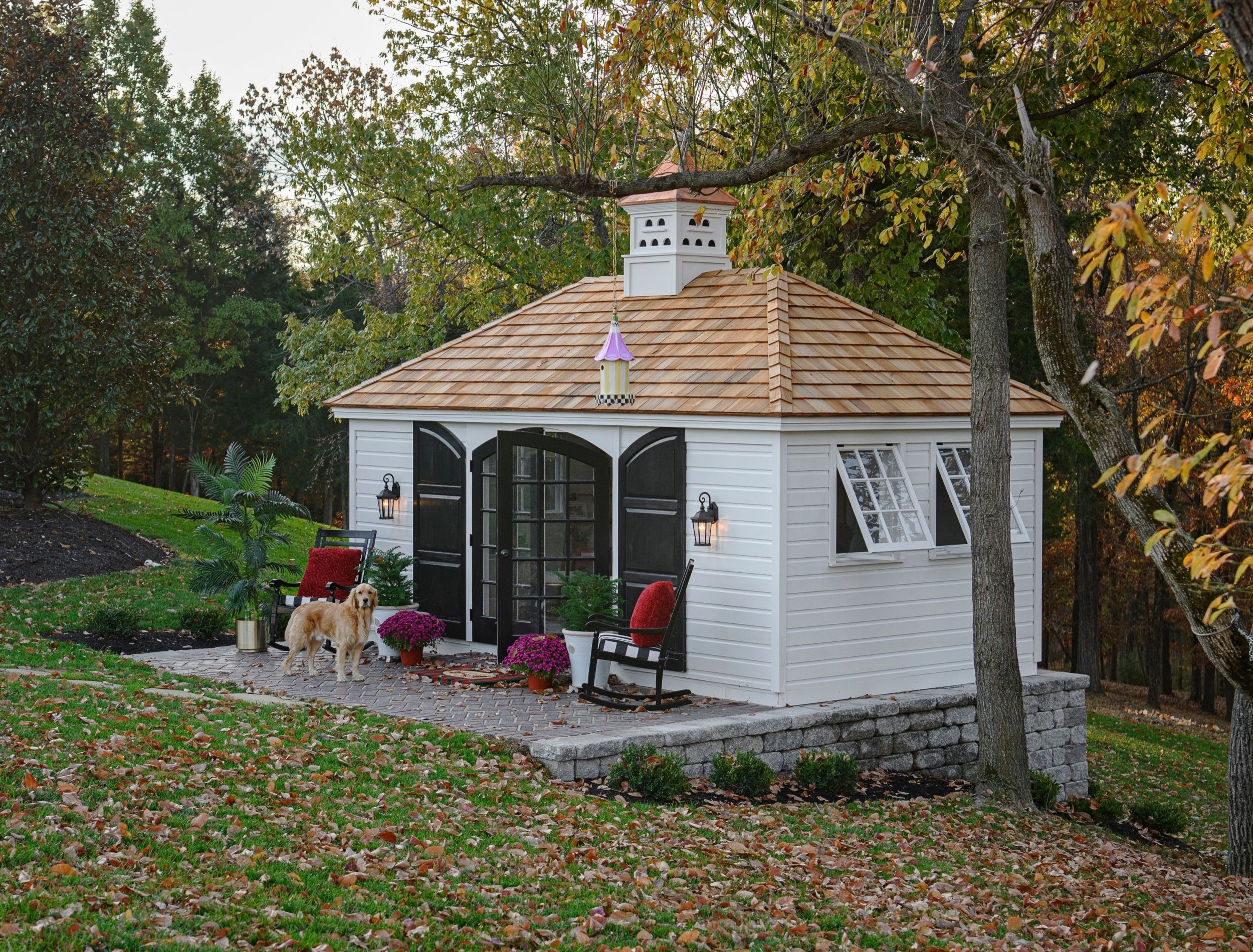 Backyard Placement